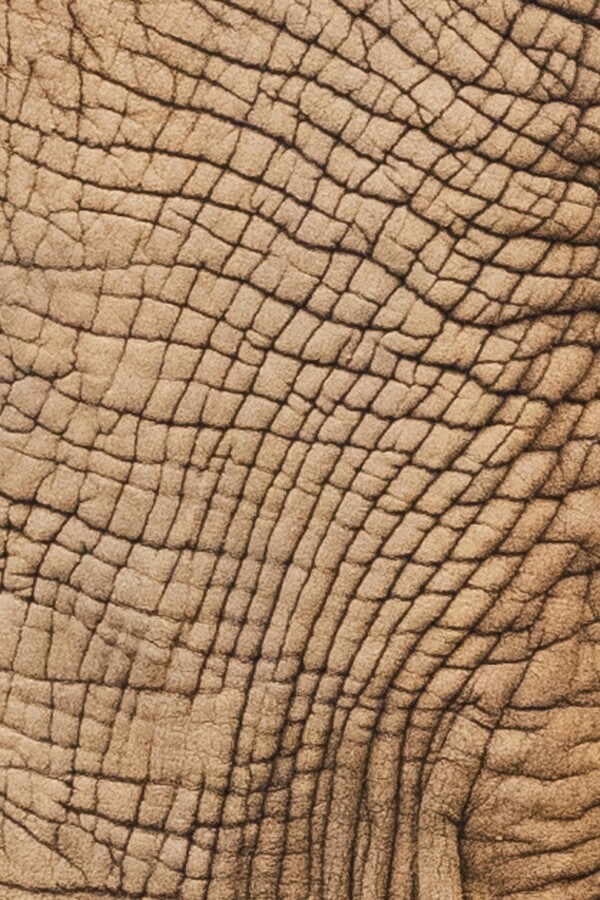 Surface of Ages - Samantha Innard